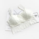 Women Sexy Vest Chest Padded Tank Tops For Women